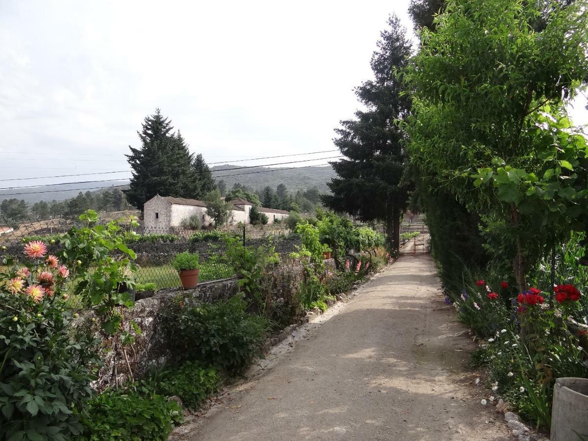 Maison d'hôtes Museu Casa Aleixo à Sernancelhe Extérieur photo